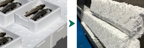 Styropor-Fischkisten-Recycling